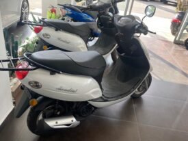 2014 Model Düz Mondial 100 Loyal